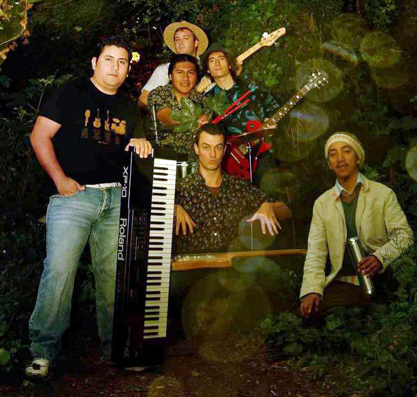 los chinches – the nest collective